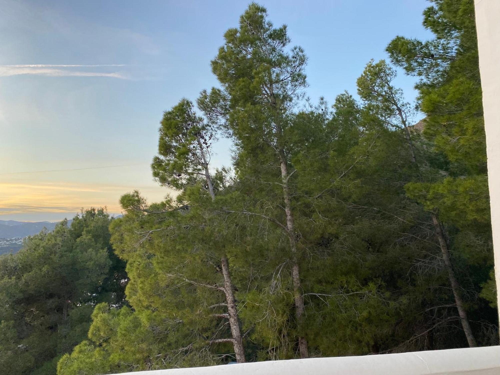 Precioso Apartamento Mandarinos Con Vistas Al Mar Nerja Ngoại thất bức ảnh